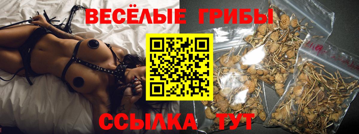 Псилоцибиновые грибы Cubensis  Галлюциногенные грибы прущие грибы  купить наркотики сайты  Гай  Вход с VPN 
